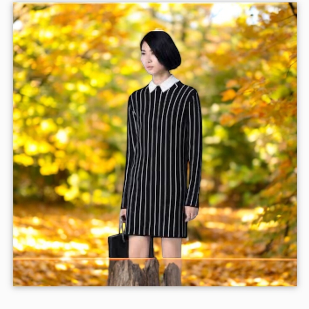 Revamped
Black White Pinstripe Collared Dress M
Wednesday Addams Goth - Picture 7 of 15